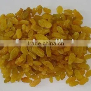 Sun Dried Raisins thumbnail-1