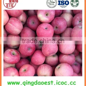YanTai New Season Fresh Sweet Fuji Apple thumbnail-5