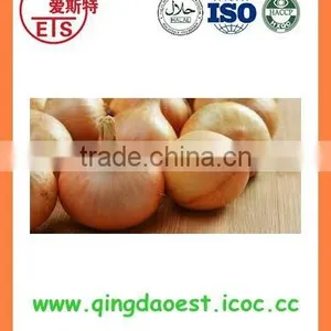 FOR SALE Export Fresh Red and Yellow Onion thumbnail-4