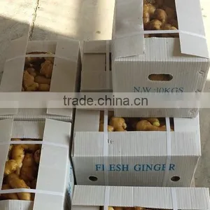2015 New Crop Fresh Ginger, Air Dry Fresh Ginger, Chinese Fresh Ginger Price thumbnail-4
