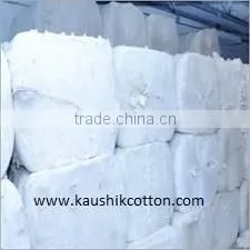 Raw Cotton Seed thumbnail-1