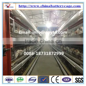 Outdoor Chicken House thumbnail-6