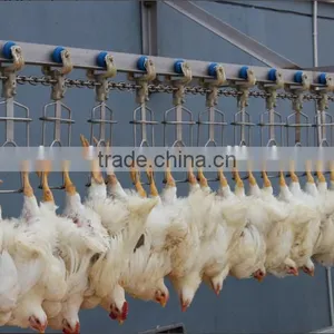 Poultry Abattoir Equipment From China thumbnail-5