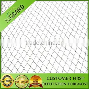 Hot Sale New Material Plastic Anti Bird Nets for Fruit Farm thumbnail-4