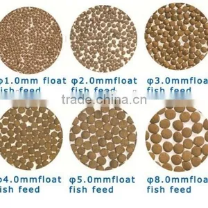 Twin Screw Extruder thumbnail-4