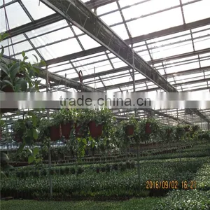Natural Ventilation Green House for Vegetables thumbnail-2