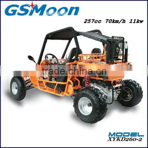 Powerfull China Cheap 250cc EEC go Karts Buggy thumbnail-4