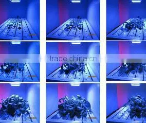 Factory Direct Sale 5000w Led Grow Light thumbnail-5