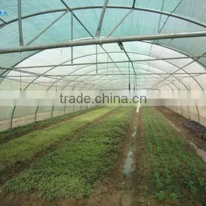 PE Film Coverd Plastic Tunnel Greenhouse Used for Vegetables and Fruits thumbnail-6