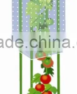 70micorn Thickness PE Plastic Tomato Plant Cover for Agricultural Use thumbnail-3