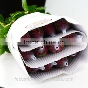 on Line Shopping Fresh From Kenya Rose Flower Anthurium for Banquets thumbnail-3
