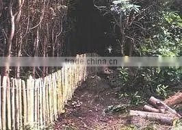 Chestnut Fence Hardwood Fence thumbnail-1