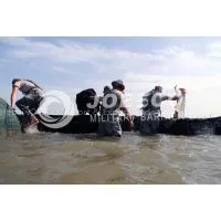 Hesco Container/Hesco Fence for Military/JOESCO Bastion thumbnail-3
