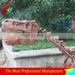 Life Size Museum Quality Fiberglass Dinosaur Head Fossil thumbnail-3