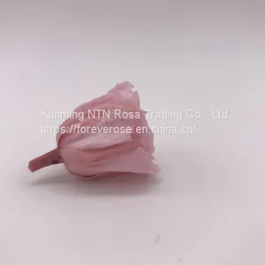 Preserved Rose for Wedding Festival Decoration thumbnail-4