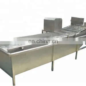 Automatic High Pressure Washer/commercial Fruit Vegetable Washer/leafy Vegetable Washing Machine Prices thumbnail-3