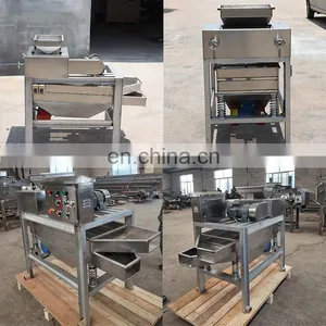 Automatic Chestnut Cutter Macadamia Nut Cutter and Chopper Walnut Cutting Machine thumbnail-7