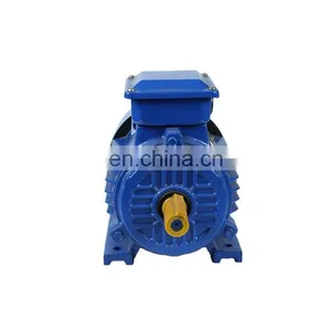 75kw 100hp B5 Three Phase Induction Motor for Water Pump thumbnail-6