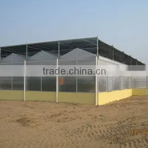 Agriculture Greenhouse thumbnail-2