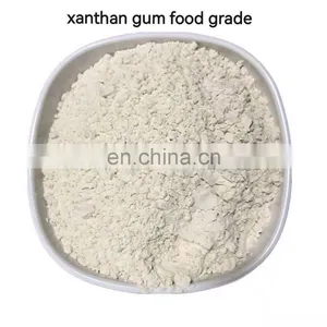 White to Yellow Powder Food Grade Xanthan Gum thumbnail-5