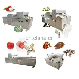 Runxiang Hot Selling Cheap Oli Olive Longan Lychee Apple Date Pitter thumbnail-1