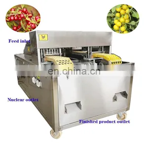 2019 Hot Sale Ouli Cerasus Humilis Dwarf Cherry Core Removing Machine thumbnail-1