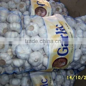 Garlic in 20kg Mesh Bag thumbnail-1