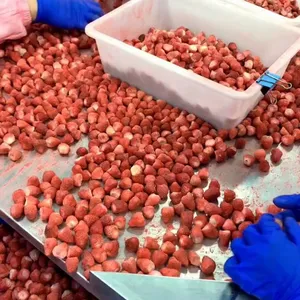 New Season Pure Nature Organic Freeze Dried Strawberry thumbnail-4