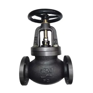 JIS 5K 10K 16K Cast Iron Flange Stop Globe Valve Marine Industrial Globe Valve Manufacturer thumbnail-5