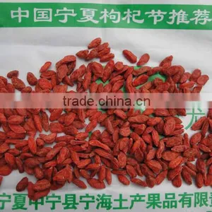 Dried Goji 2015 thumbnail-1