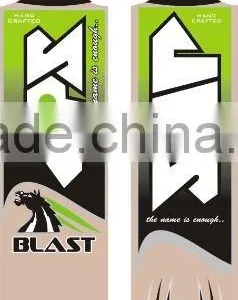 Kashmir Willow Match Cricket Bat thumbnail-1