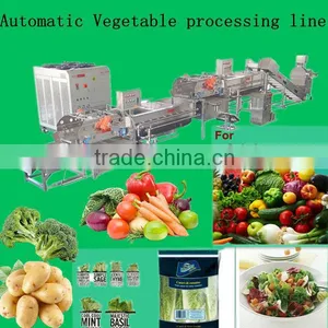 Leafy Vegetable Processing Machine/frozen Vegetable Processing Line/hot Sale Fruit Processing Line thumbnail-1