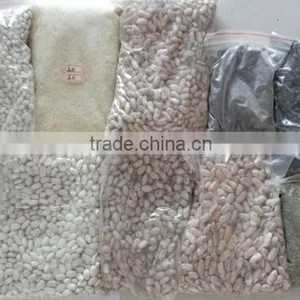 Dehydrated Beans thumbnail-1