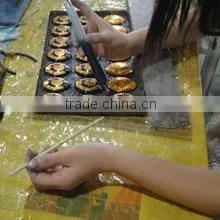 Yueqing Greensun Import & Export Co., Ltd. company overview - view 3 thumbnail
