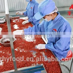 Dried Goji Berry 350grains/50g Health Food,100%natural,native Chinese Goji Berry thumbnail-6