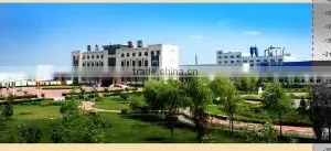 Shandong Ding Li Date Food Group Co., Ltd. company overview - view 1 thumbnail