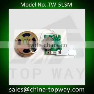 Manufacturer of Slide Tongue Greeting Card Sound Module thumbnail-5
