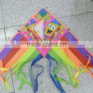 Kites thumbnail-1