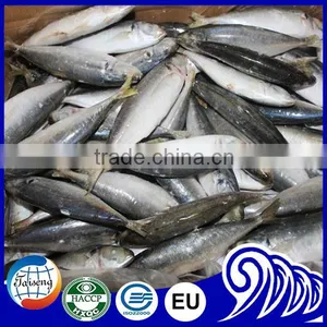 2016 New Frozen Fish Round Scad/ Scad Fish thumbnail-1