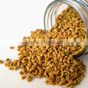 FENUGREEK SEEDS thumbnail-1