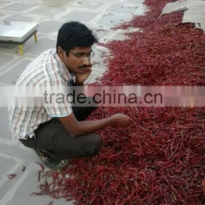 Single Herbs & Spices Product Type and Dried Style Red Chilli. thumbnail-6