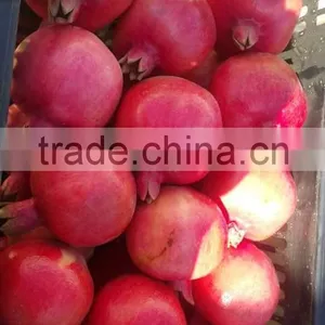 Fresh Pomegranate For Sale thumbnail-3