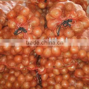 Fresh Yellow Onion thumbnail-1