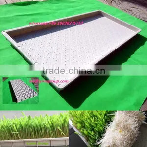 Garden Plastic Seed Propagation Tray for Greenhouse thumbnail-1