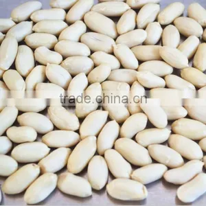 White Skin Blanched Peanut thumbnail-1