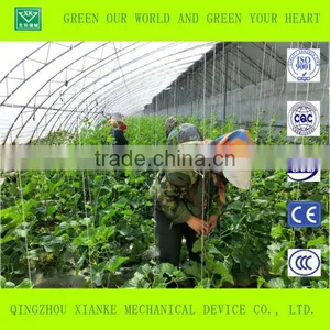 Tropical Greenhouses and Commercial Hydroponic Grwoing Systems for Tomato, Lettuce and Strawberry thumbnail-3
