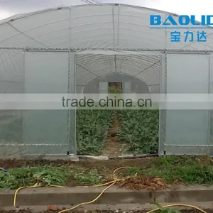 BaoLiDa Cheap Tunnel Greenhouse Agricultural Plastic Film Greenhouse thumbnail-2