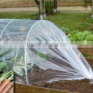 Agricutural Tunnel Film thumbnail-1