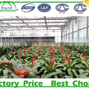 High Quality Prefabricate Greenhouse thumbnail-3