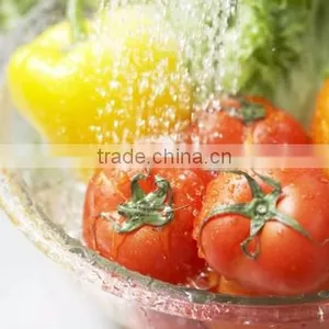 Multipurpose Water Air Home Ozone Sterilizer 800 Mg/h for Wash Vegetable and Fruits thumbnail-5